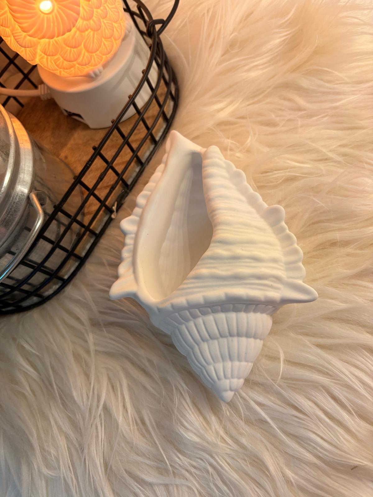 Muschel 🐚